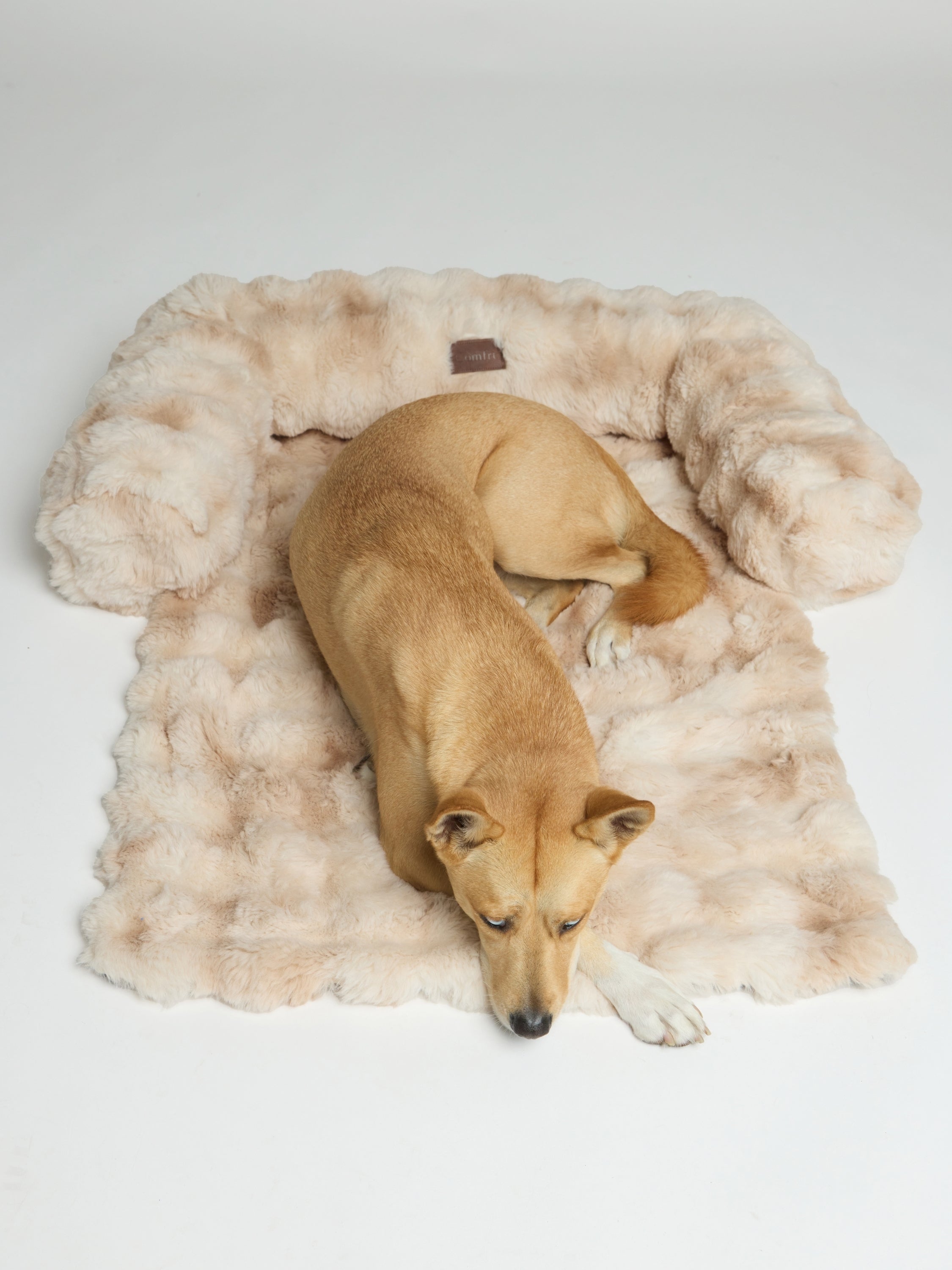 Dream Cloud Pet Sofa Bed