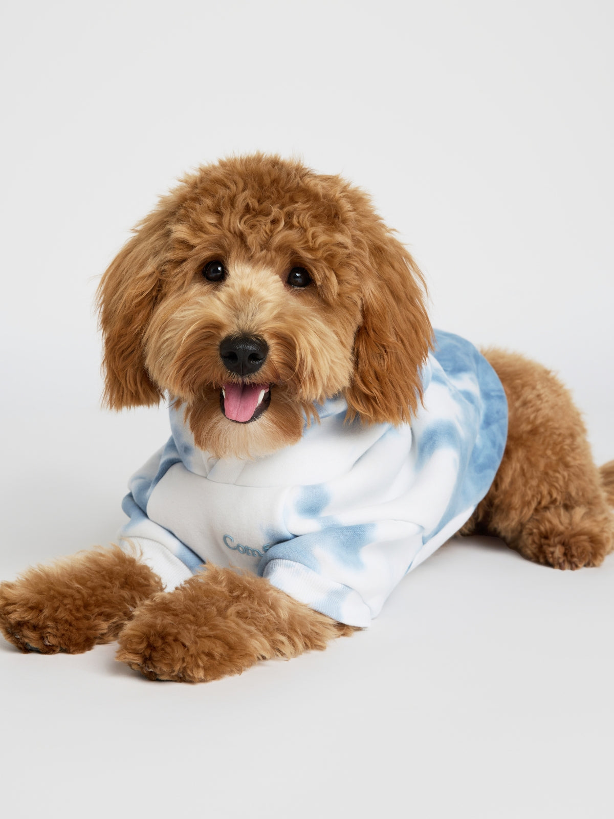 Minimalist Paw Hoodie