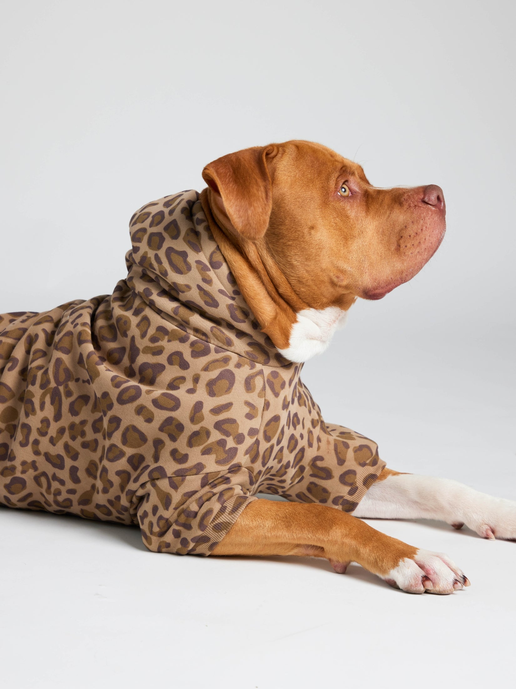 Minimalist Paw Hoodie