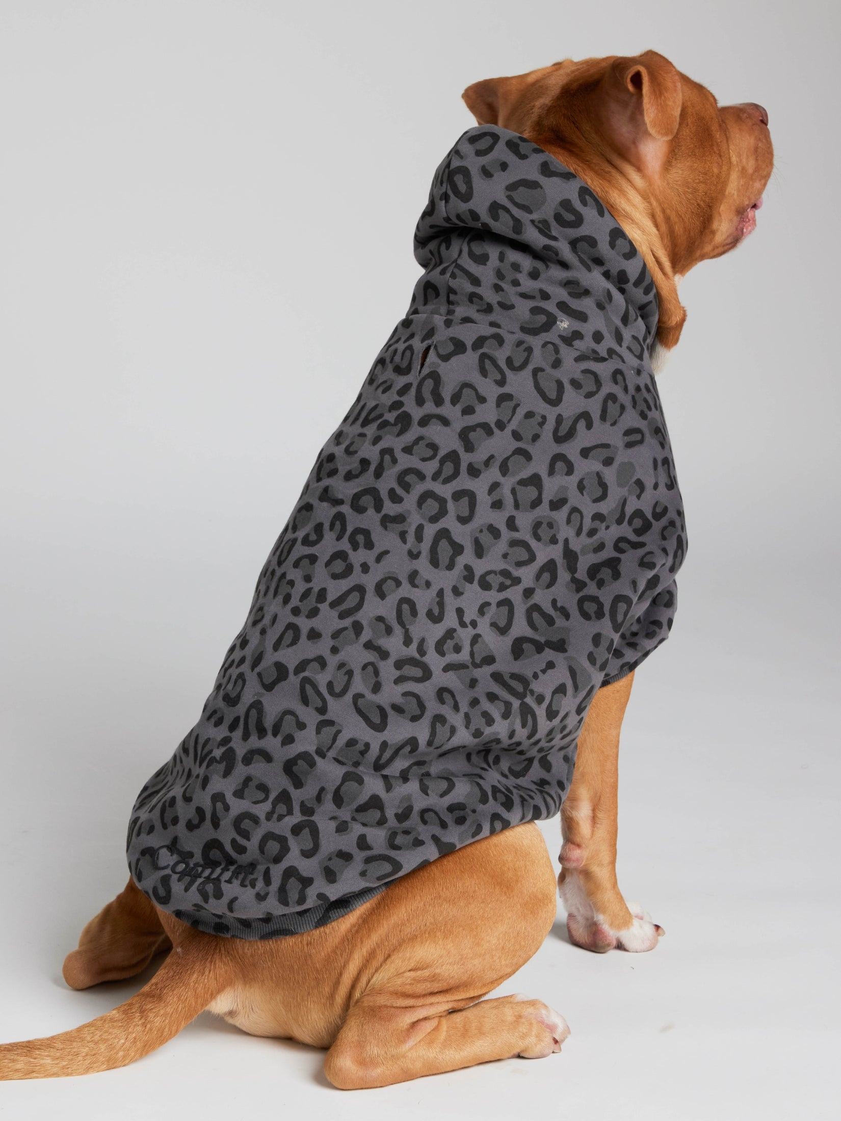 Minimalist Paw Hoodie