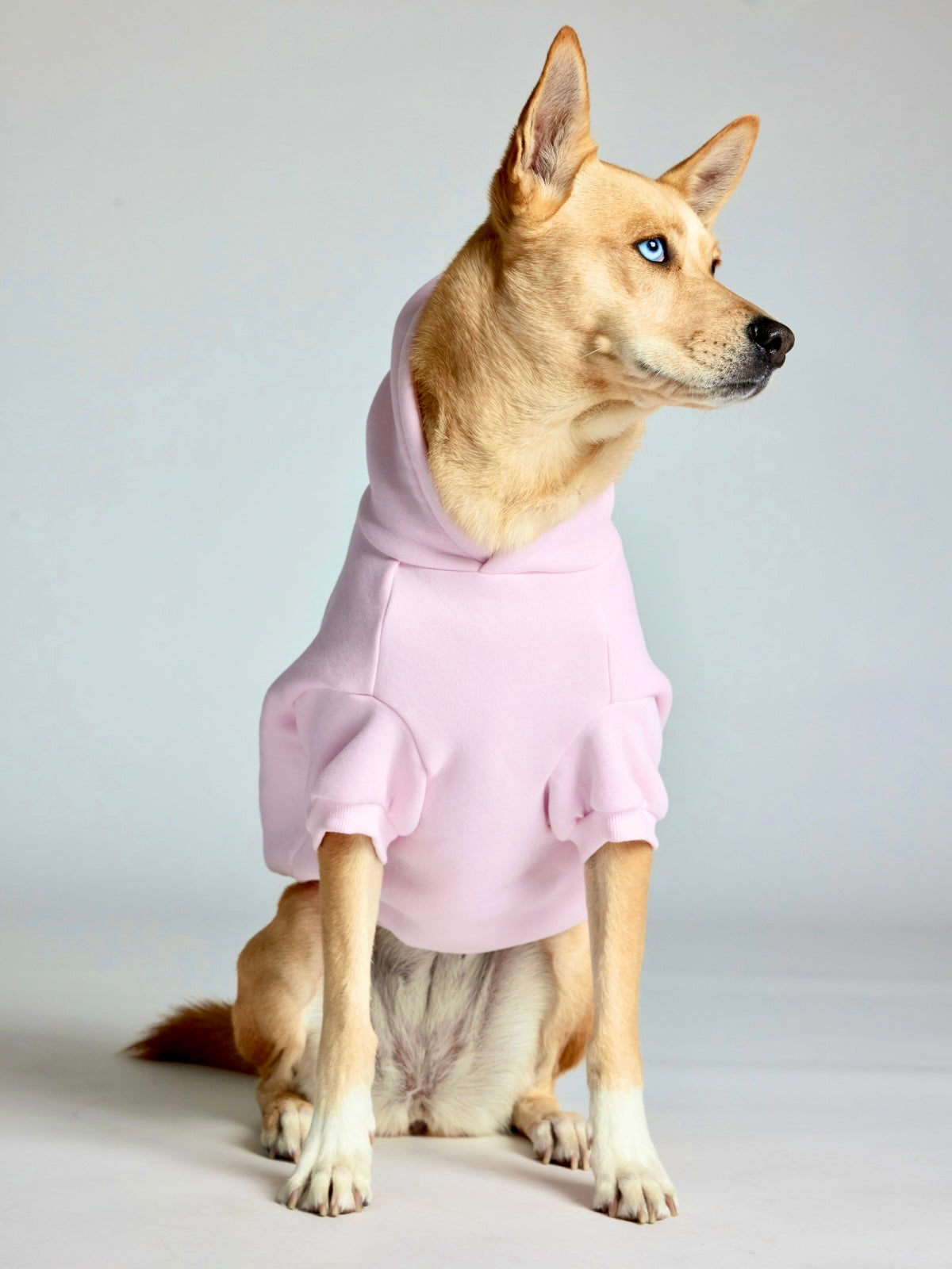 Minimalist Paw Hoodie