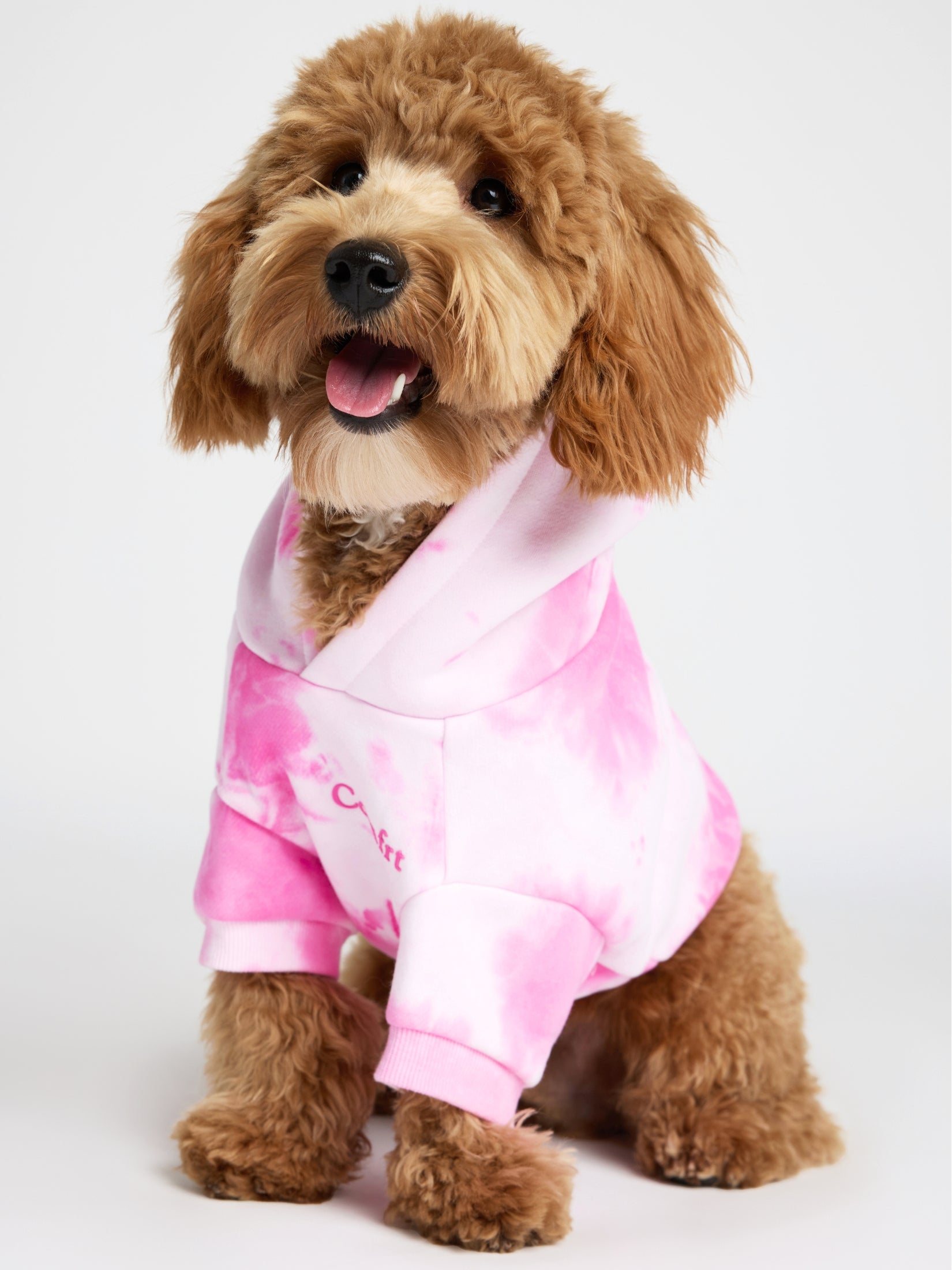 Minimalist Paw Hoodie